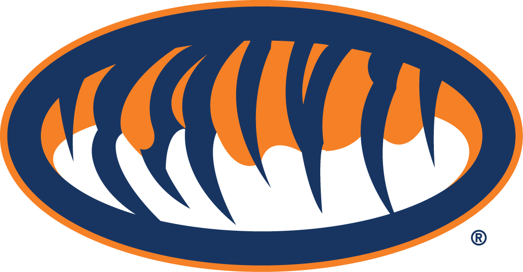 Auburn Tigers 1998-Pres Alternate Logo v2 diy DTF decal sticker